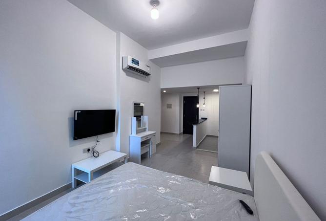 116365933 - Property Image 3