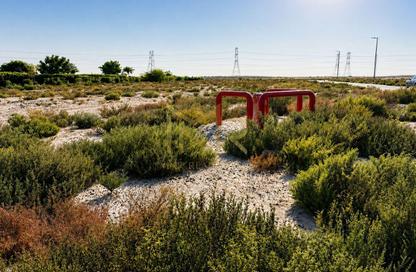 Land - Studio for sale in Saih Shuiab House - Jebel Ali Hills - Saih Shuaib 1 - Jebel Ali - Dubai