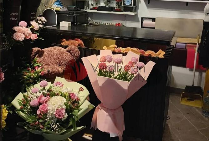 58176969 - صورة العقار 3