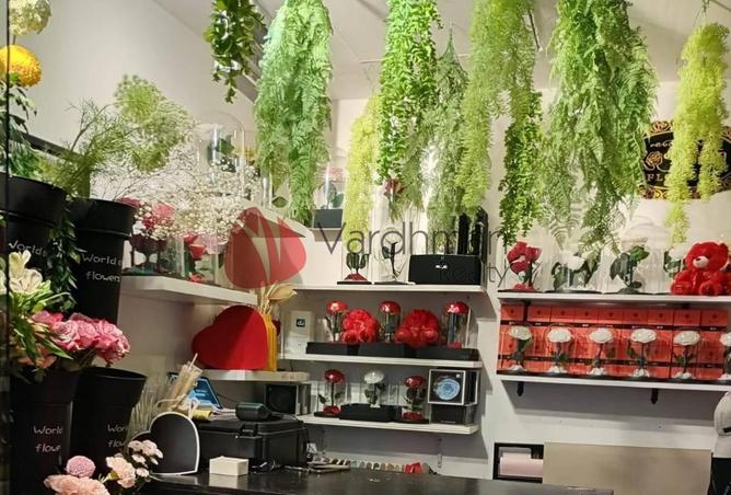 58176969 - صورة العقار 2