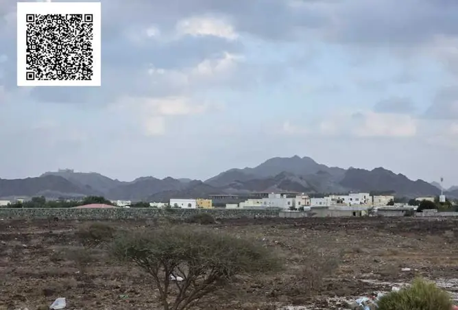 151339373 - صورة العقار 3