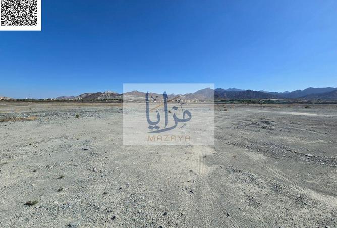 81524940 - صورة العقار 2