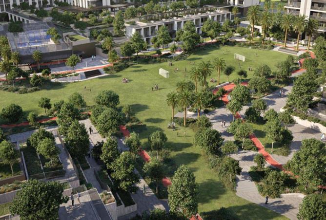 16181747 - Property Image 3