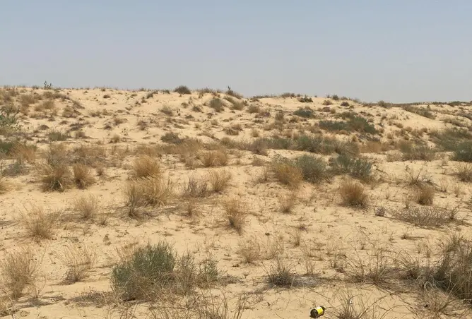73871058 - صورة العقار 2