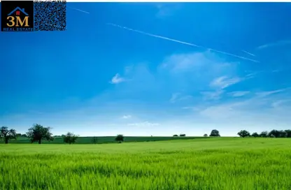 Land - Studio for sale in Al Rashidiya - Ajman Downtown - Ajman