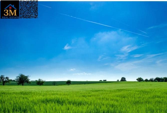 67824141 - Property Main Image