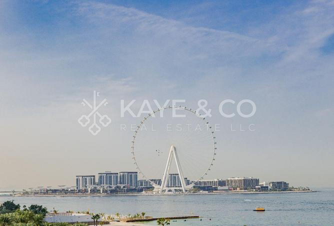 16289752 - الصورة الرئيسية للعقار