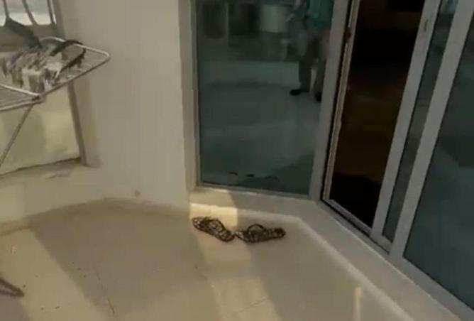 71085391 - Property Image 3