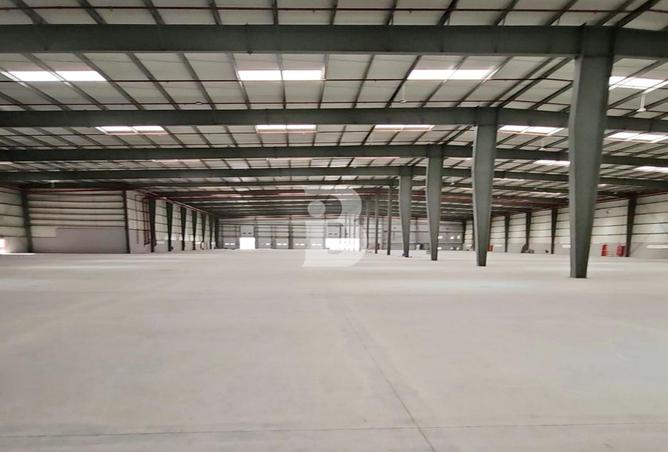 54397256 - صورة العقار 3