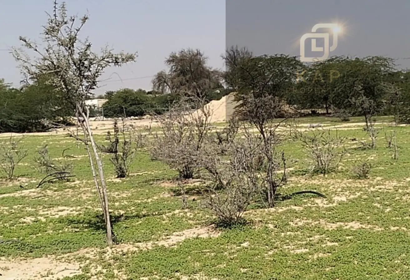 140131685 - الصورة الرئيسية للعقار