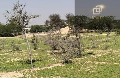Land - Studio for rent in Khatt - Ras Al Khaimah