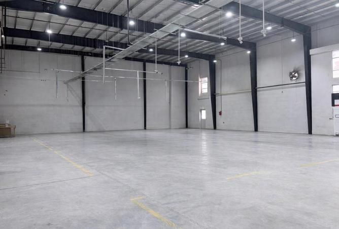 16252700 - Property Image 3