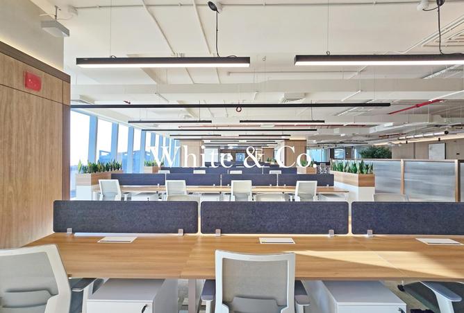 61686532 - Property Image 3