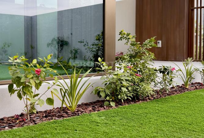 54932866 - صورة العقار 3