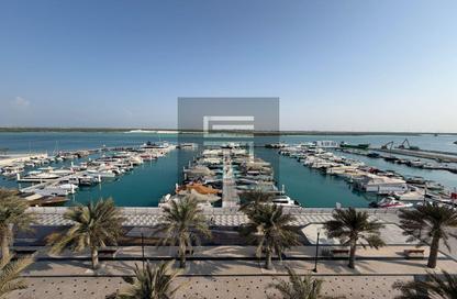 Apartment - 2 - 4 for rent in Qaryat Al Hidd - Saadiyat Island - Abu Dhabi Apartment - 2 - 4 for rent in Qaryat Al Hidd - Saadiyat Island - Abu Dhabi