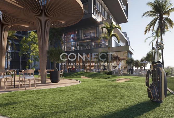 16133464 - Property Image 3