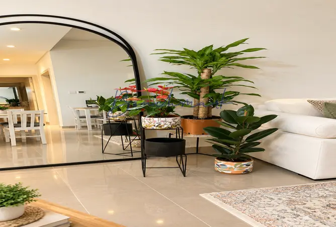 161853560 - Property Image 3
