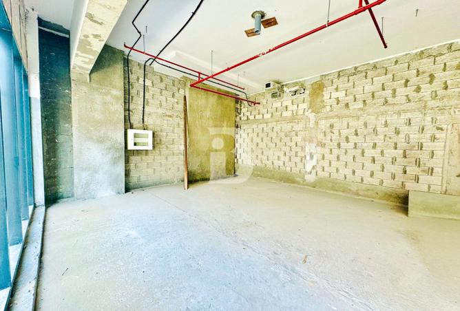 116797465 - Property Image 2