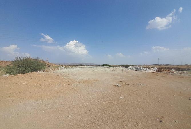 53574437 - Property Image 2