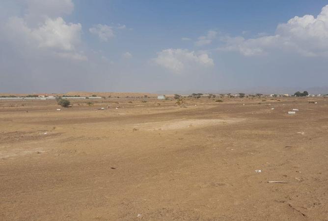 53574437 - Property Image 3