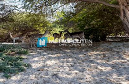 Land - Studio for sale in Al Jurf Gardens - AlJurf - Ghantoot - Abu Dhabi