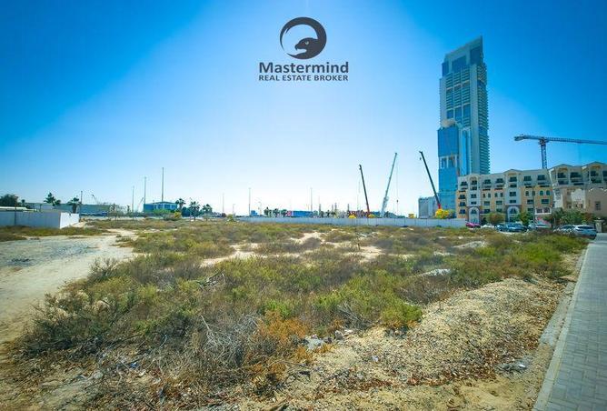 71516603 - صورة العقار 3