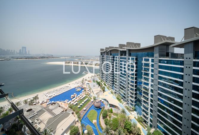 117258748 - Property Image 3