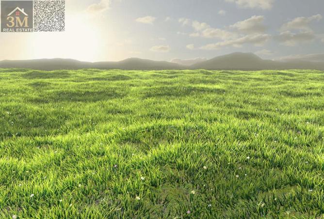 77363986 - الصورة الرئيسية للعقار