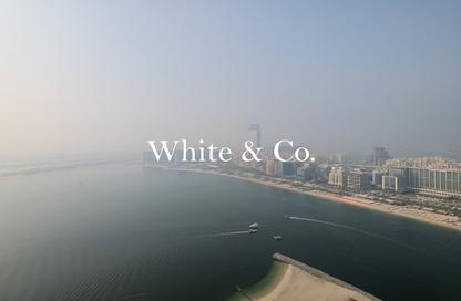 شقة - 1 - 1 للايجار في برج Palace Beach ريزيدنس 2 - بالاس بيتش ريزيدنس - إعمار بيتشفرونت - دبي هاربور - دبي