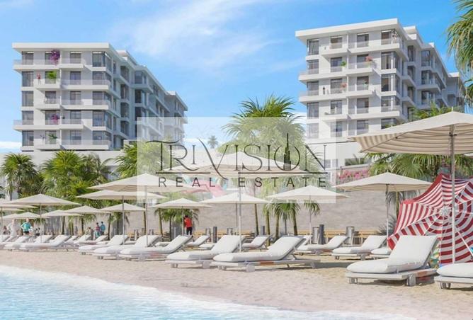 16313569 - Property Image 3