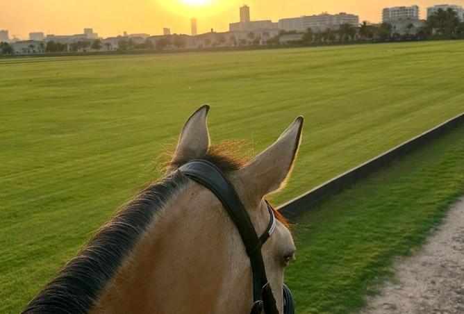 16227188 - Property Image 3