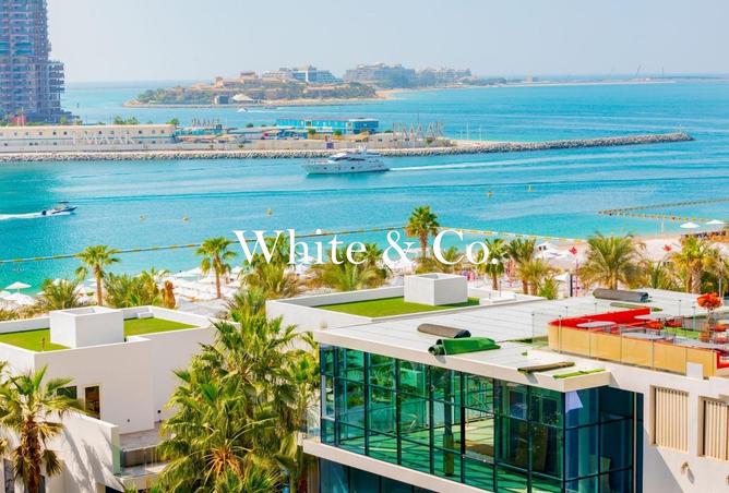 61689640 - صورة العقار 3