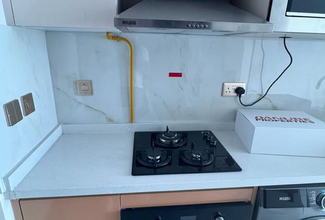 132503715 - Property Image 2