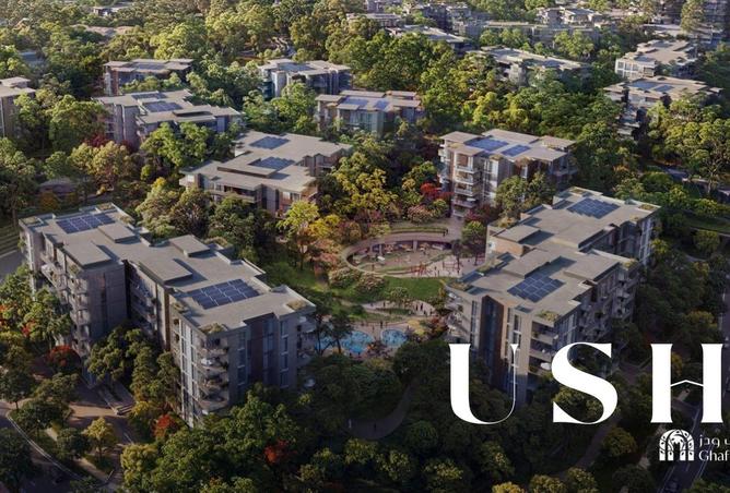 16021353 - Property Image 2