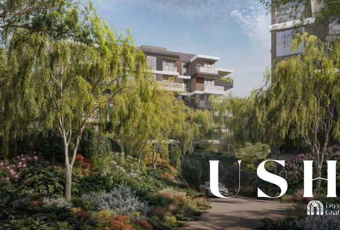 16021353 - Property Image 3