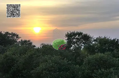 فيلا - 6 غرف نوم - 8 حمامات للبيع في مجمع الجولف - الزورا - عجمان