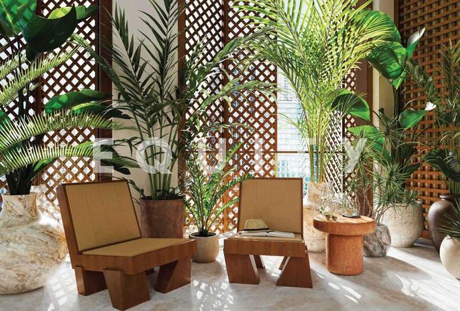 16255807 - صورة العقار 3