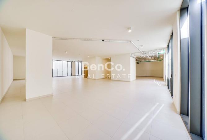 16305761 - Property Image 3