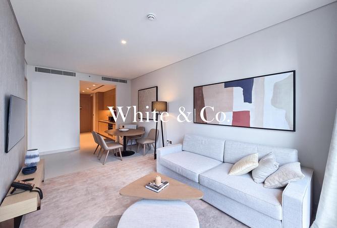 16239381 - Property Image 3