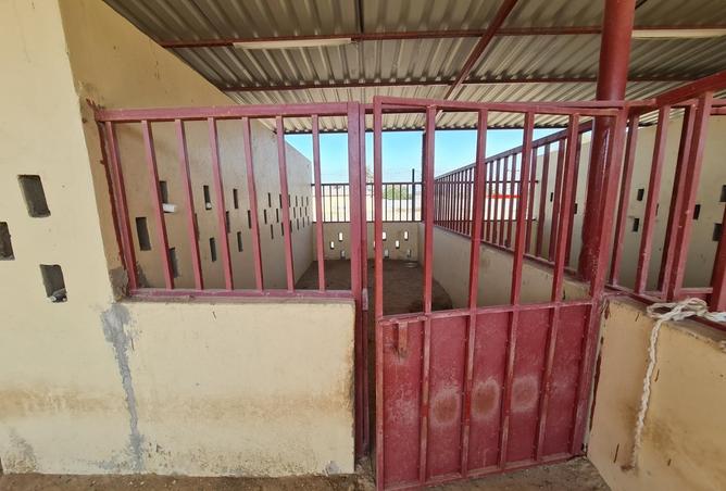 77369849 - Property Image 2