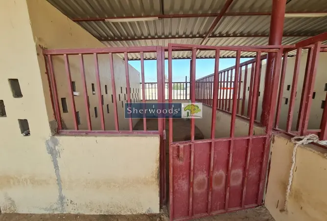 77369849 - Property Image 2