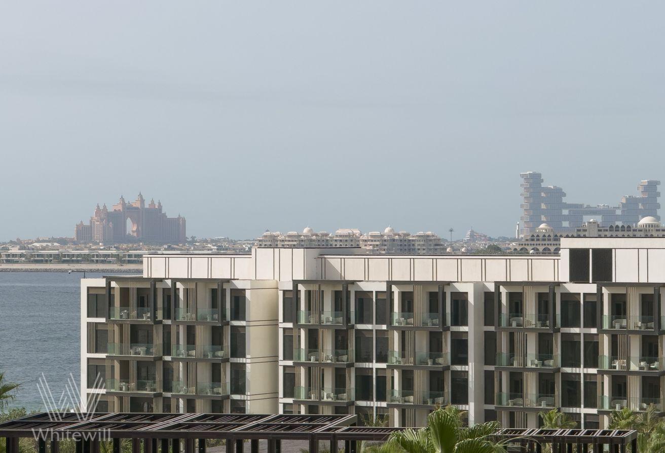 Corner Unit| Maids | Furnished | Ain and Park View photo 10