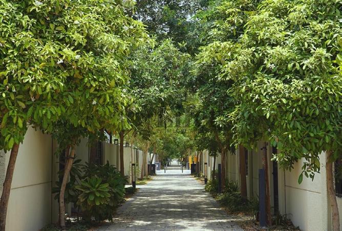 53183479 - صورة العقار 2