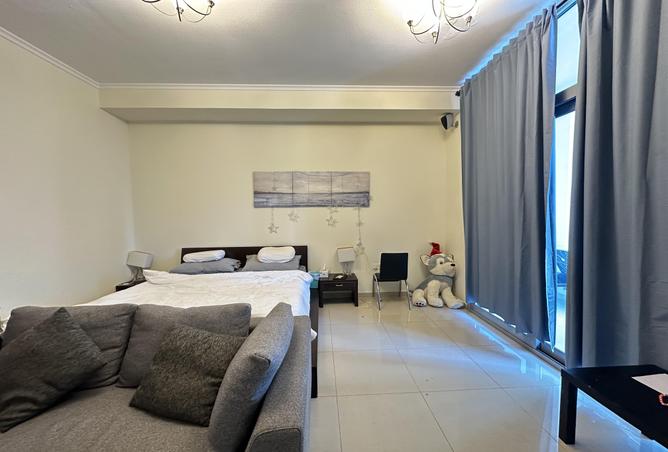 16167656 - Property Image 3