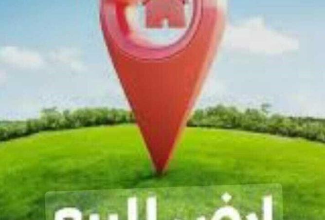 16223002 - Property Image 3