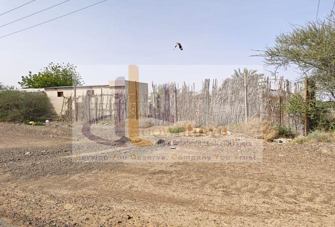 54392121 - Property Image 2