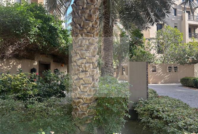 16234033 - صورة العقار 2