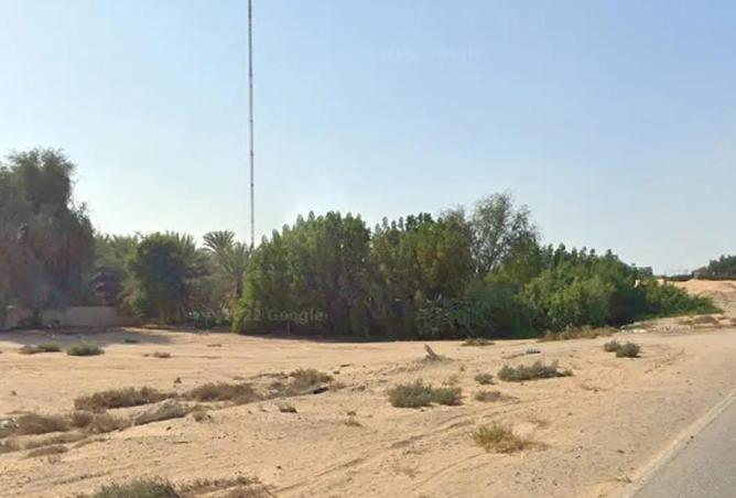 98244955 - صورة العقار 2