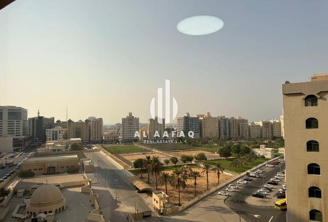 74233900 - صورة العقار 3