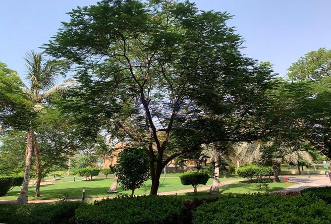 16131181 - صورة العقار 3